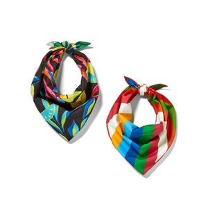 New with tags 2 pack  Pet Bandana Accessory  Tabitha Brown for Target …